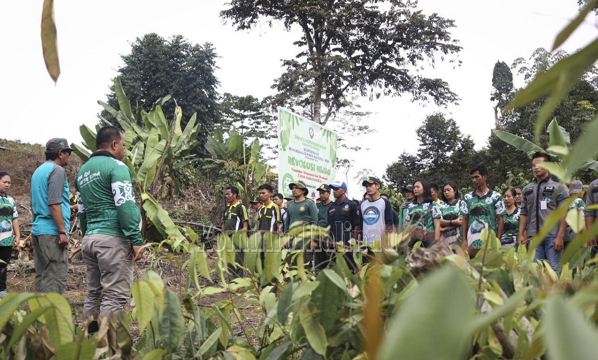 DLH Malinau Tanam Ribuan Bibit Pohon